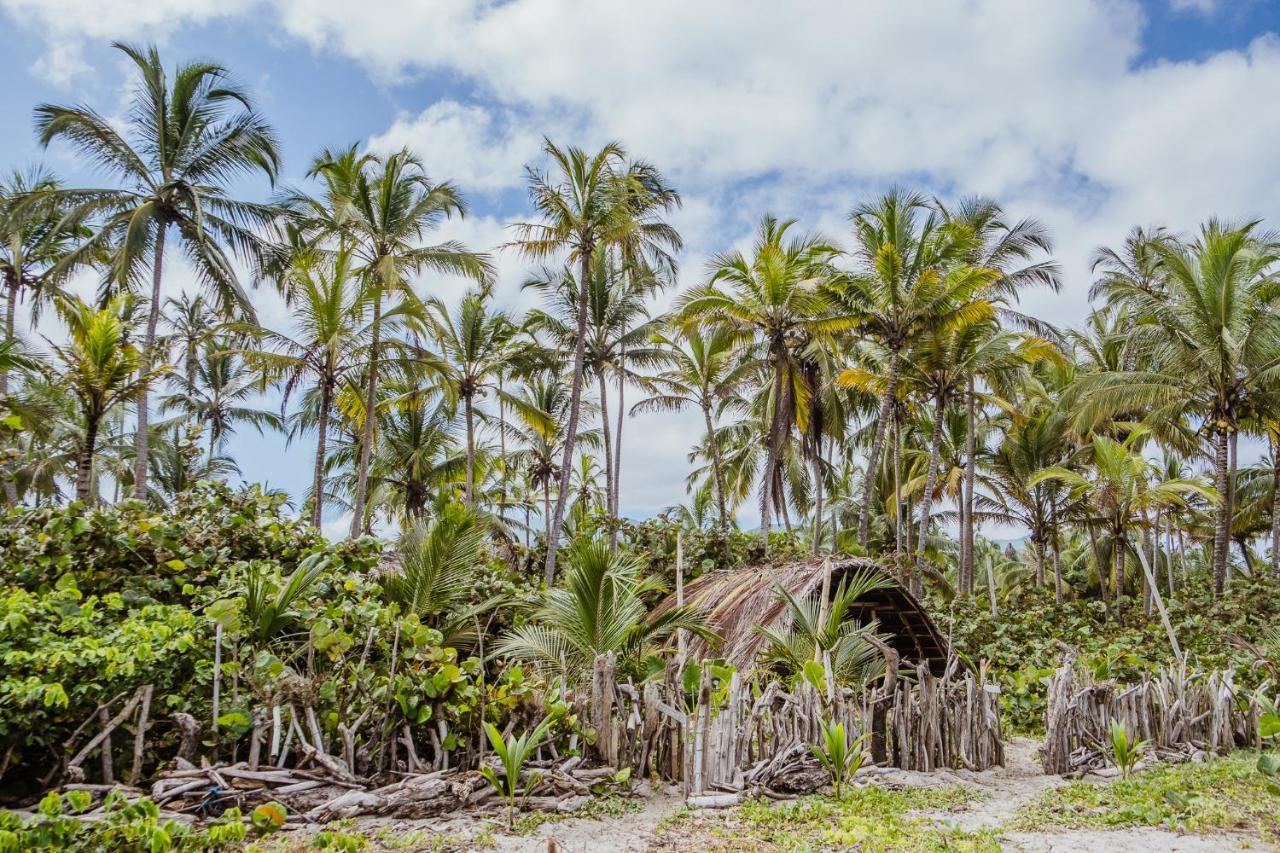 Lote 10 Glamping Hotel Guachaca Kültér fotó