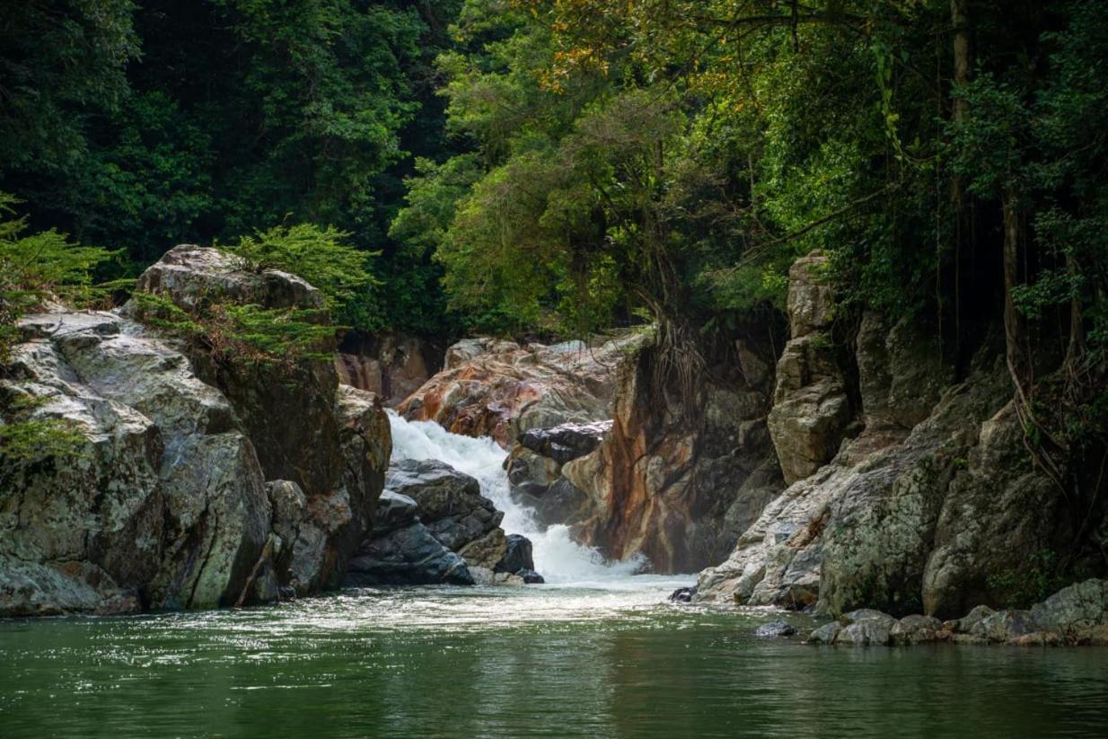 Lote 10 Glamping Hotel Guachaca Kültér fotó