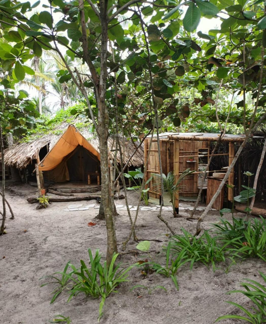 Lote 10 Glamping Hotel Guachaca Kültér fotó